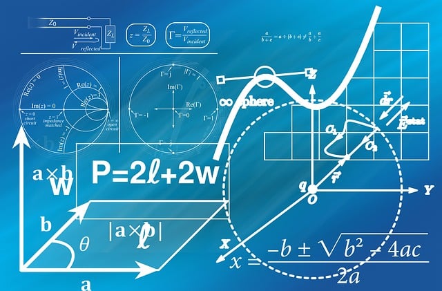 高一家长对学校教育的建议与期望